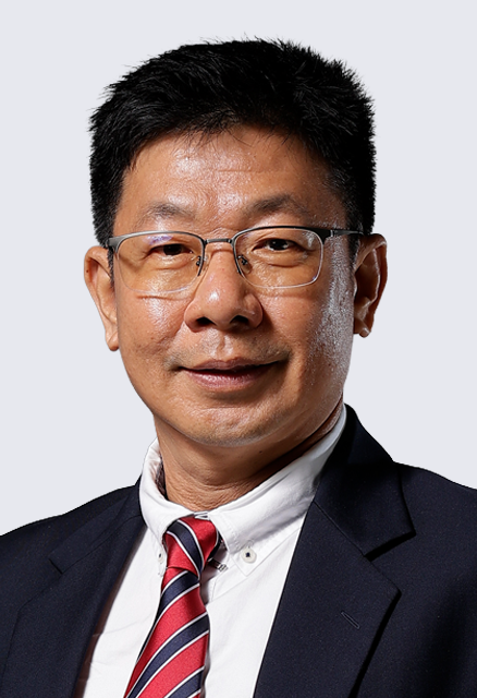 PROFESSOR IR. DR. CHONG WEN TONG