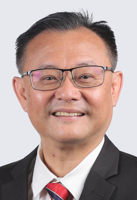 PROFESSOR DR. NGEOW WEI CHEONG @ DAVID NGEOW