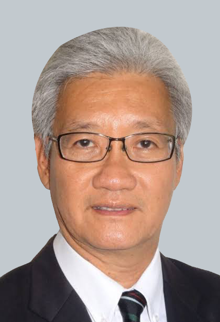 THE LATE DATO' PROFESSOR EMERITUS DR. GOH KHEAN LEE