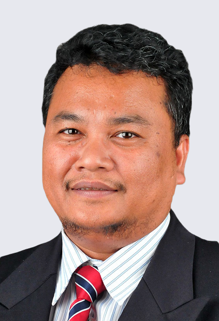 PROFESSOR IR. DR. SULAIMAN WADI HARUN